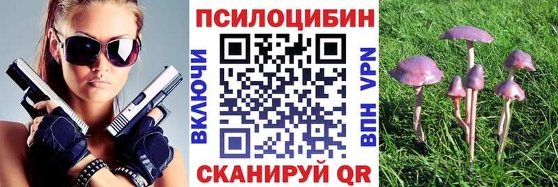 Псилоцибиновые грибы Psilocybine cubensis Купить закладки Щигры