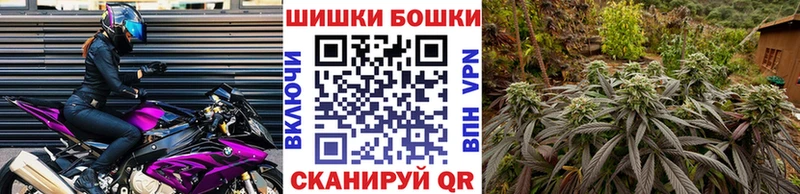Конопля тримм  Купить закладки  Щигры 
